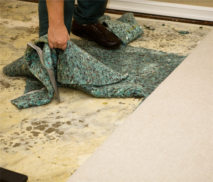 a person pulling up water logged carpet from the floor