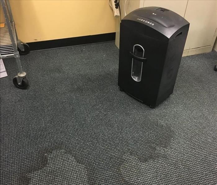 Wet Office Carpet